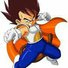 amino-vegeta -sama-b4765901