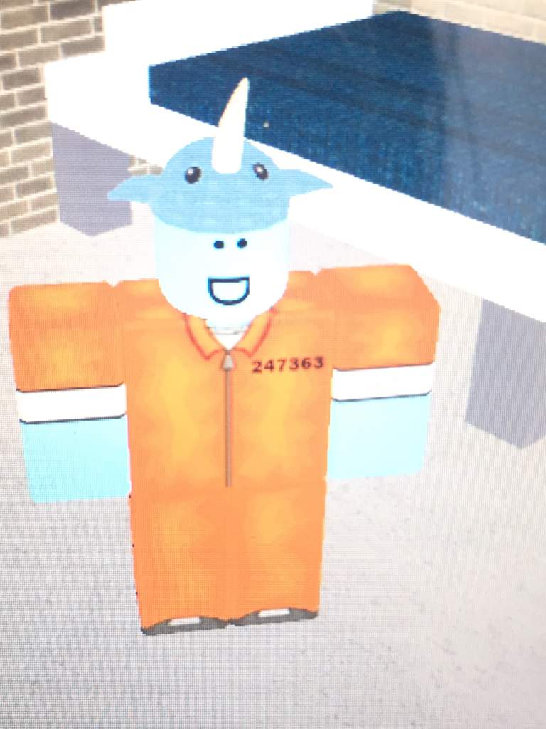 Playing Roblox On Da Computer Roblox Amino - roblox chips