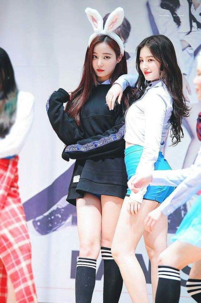 🖤NANCY🖤YEONWOO🖤NANWOO🖤🖤 | Momoland🎫🎡 Amino