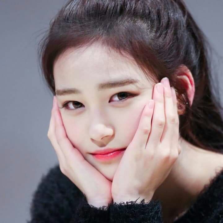jung ji soo wiki idol dream roll amino amino jung ji soo wiki idol dream roll amino amino