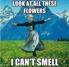 Voldemort funny pictures?? | Harry Potter Amino