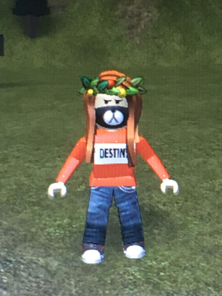 I Made A Avatar Which Looks More Like Me Roblox Amino