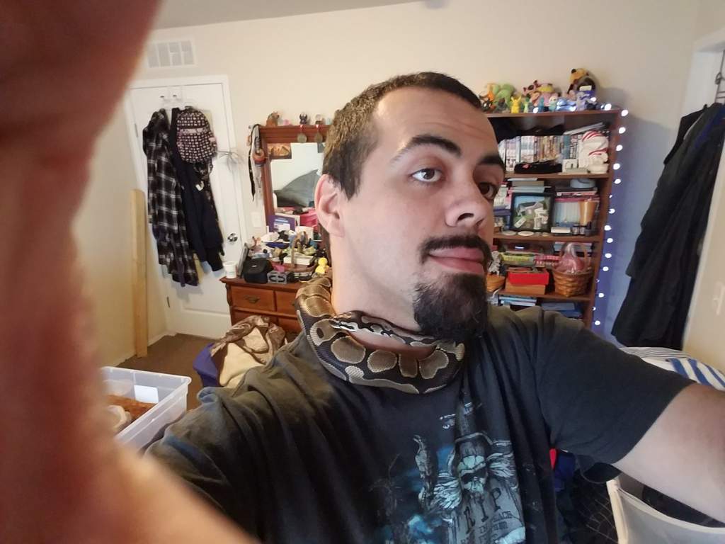 Working with reptiles | Reptiles Amino