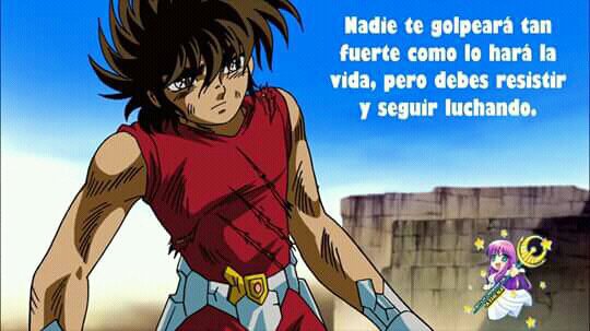 Frases!!! Saint Seiya | •Anime• Amino