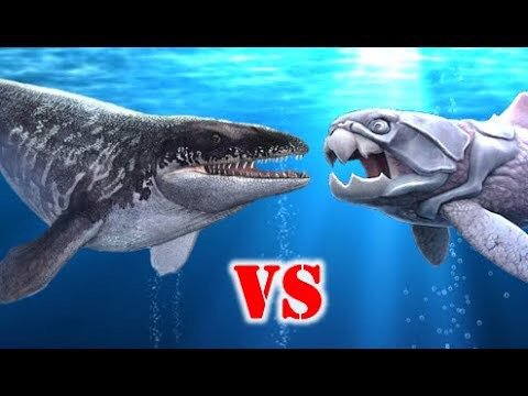 liopleurodon vs megalodon vs dunkleosteus