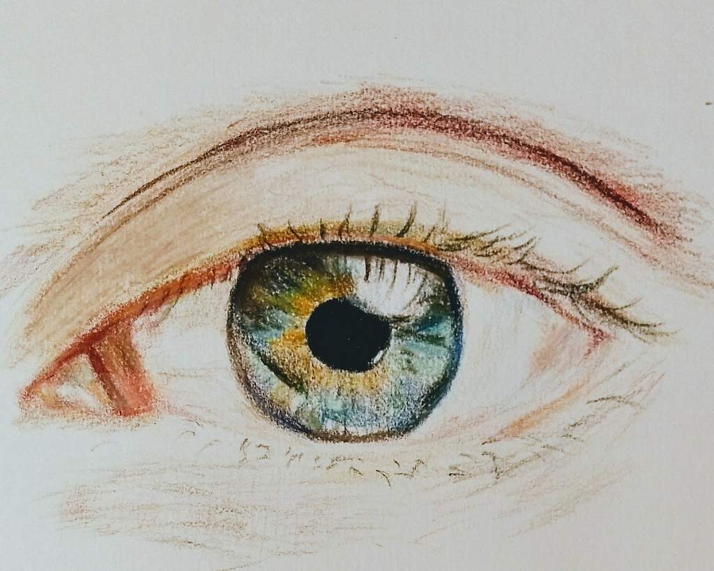 Colored Pencil Eye Drawing