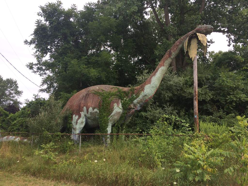 Visited Haunted Ass Abandoned Dinosaur Amusement Park yesterday ...