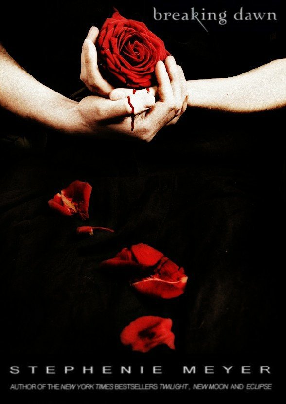 breaking dawn book breaking dawn book