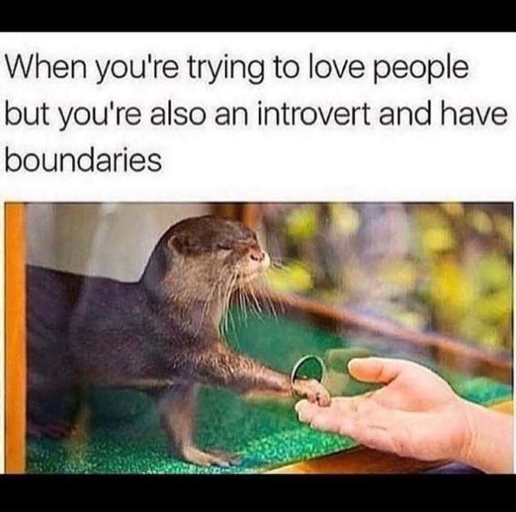 Memes that describe me challenge friends amino