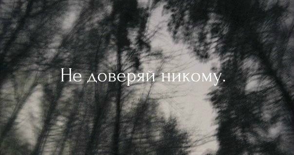 Картинки не верь никому не