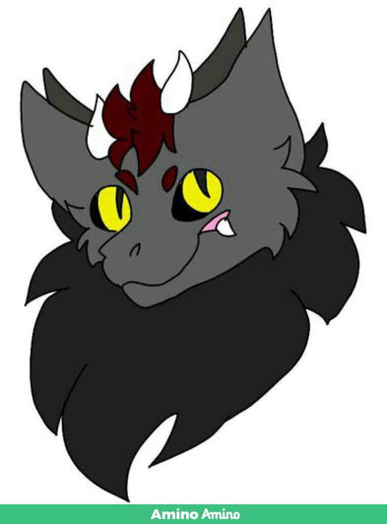 Turkish Devil | Wiki | Furry Amino