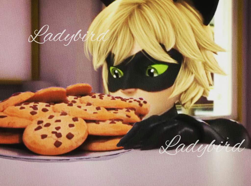 Chat Noir Vs Cookies Edit By Ladybird Miraculous Amino