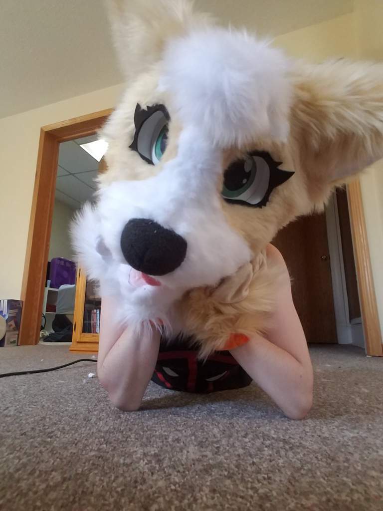 Clover is Done!! ������ (Partial Fursuit Commission!) | Furry Amino