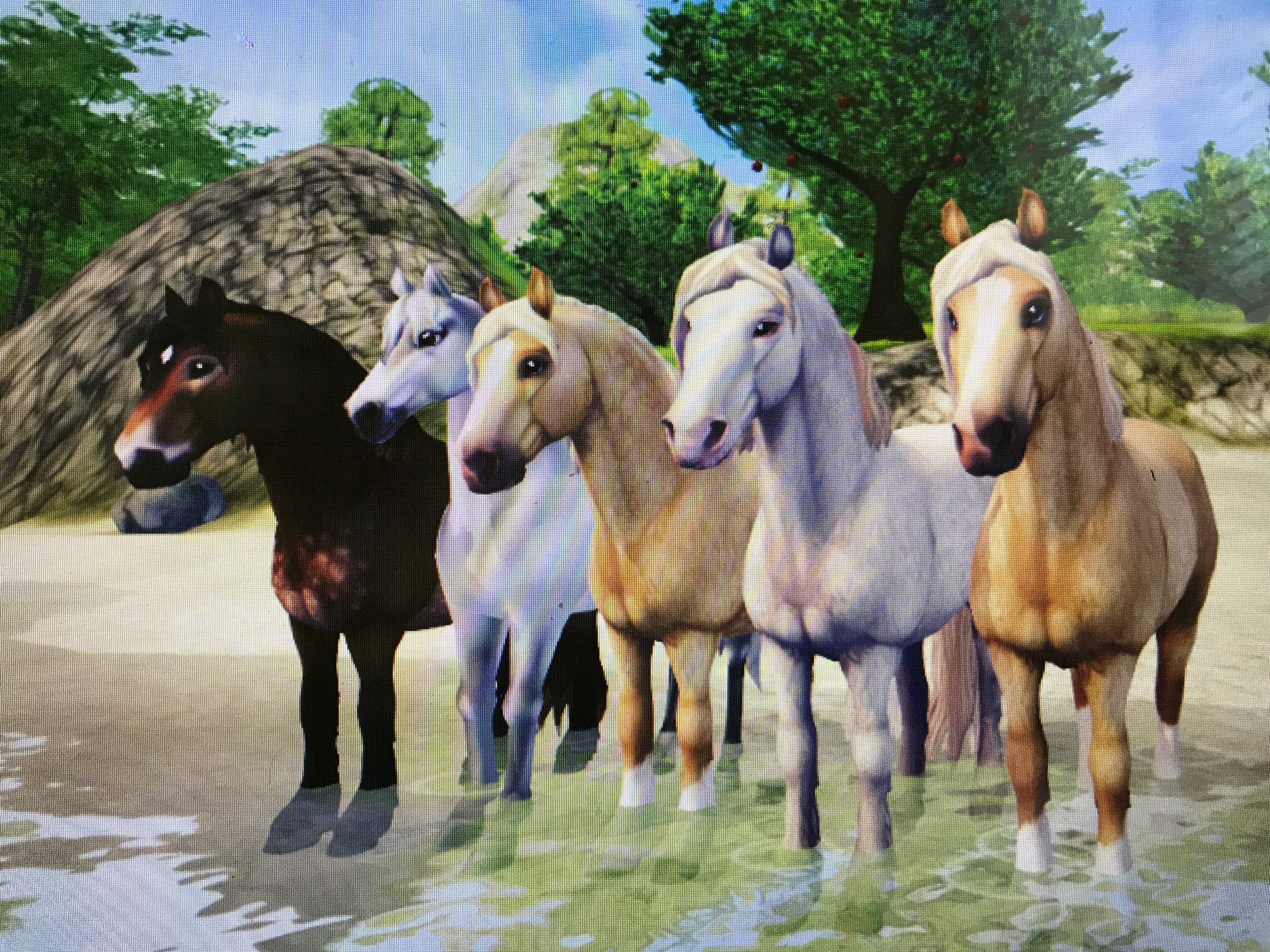 Sun Roses’ new Club horse! | Star Stable Online Amino