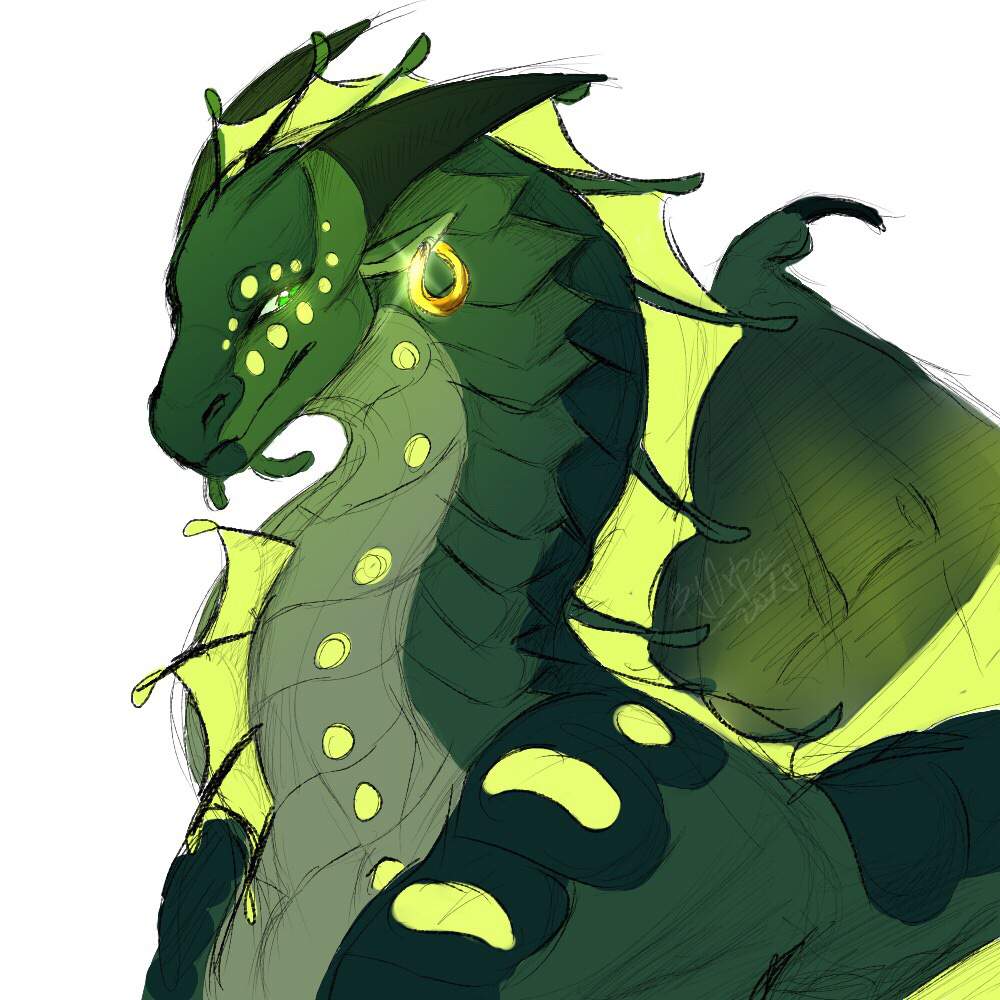 Sketch of SeaWing dragon | Wings Of Fire Amino