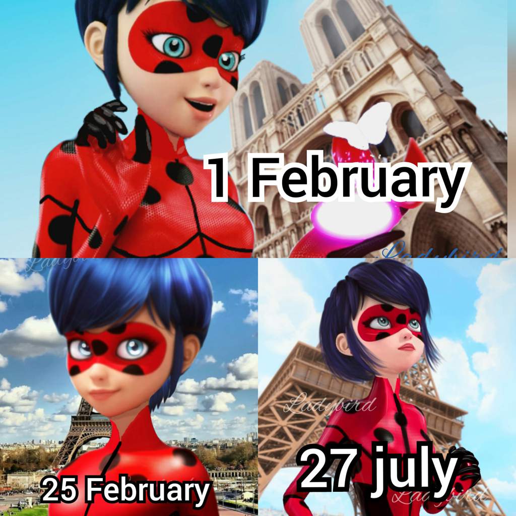 Re Edit Ladybug Adult Edit By Ladybird Miraculous Amino