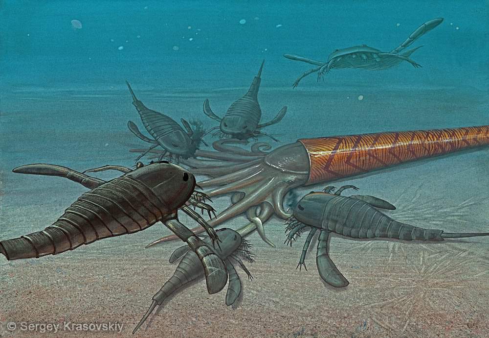 Balteurypterus tetragonophtalmus и Orthoceras | Jurassic World Ru Amino