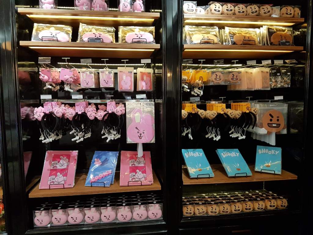 My Visit to the BT21 Store in NYC | ARMY's Amino