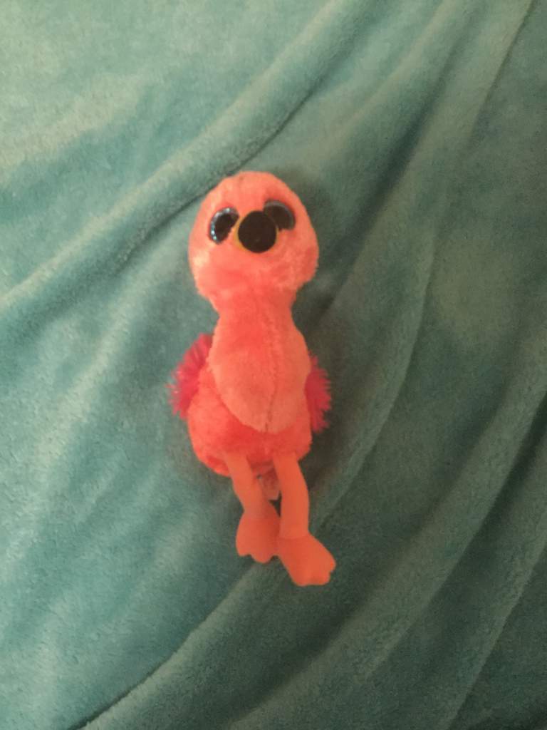flamingo albert merch plush