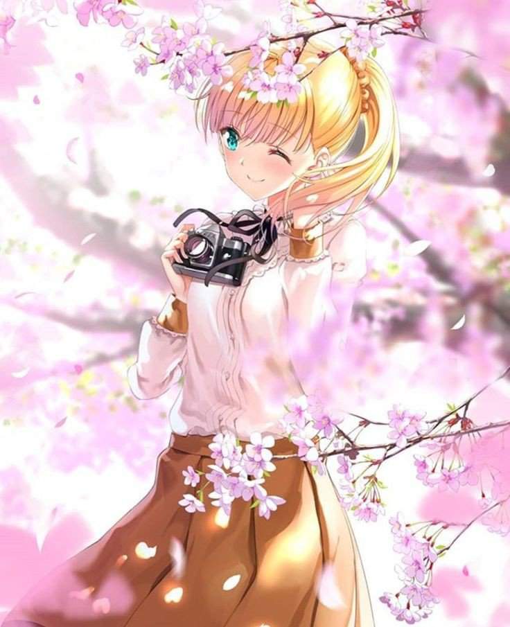 Top 5 animes de primavera Shojo Y Más Amino