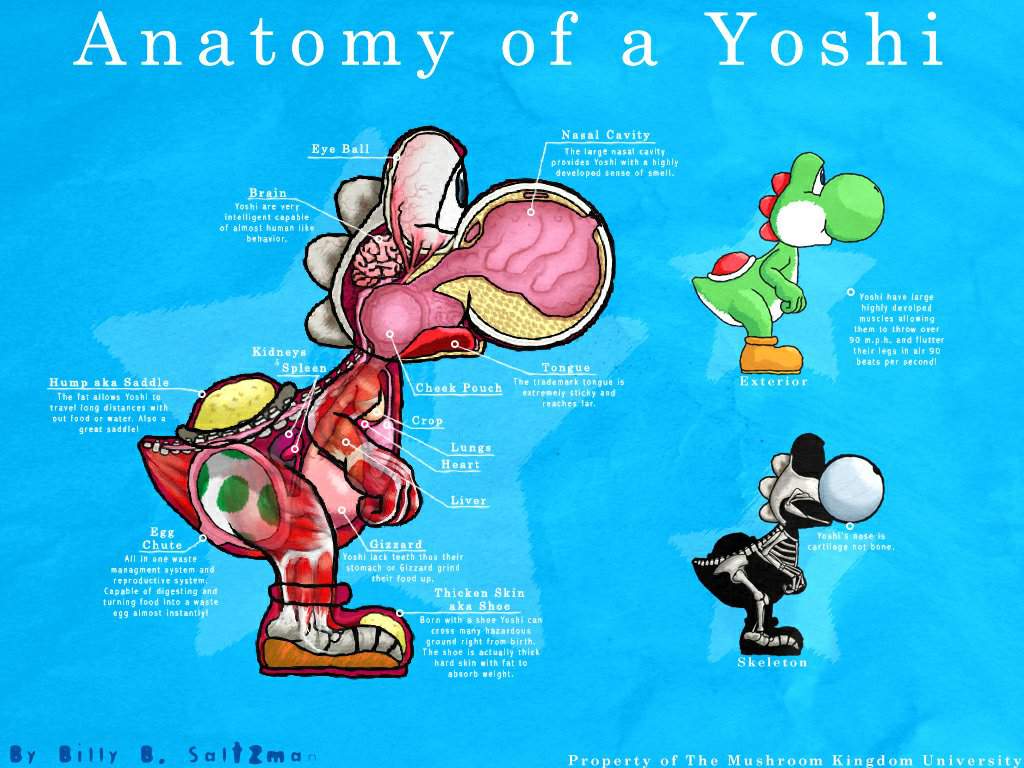 Yoshi is a strange being. 