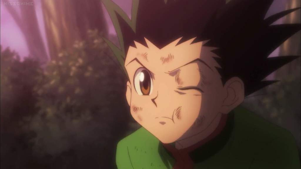 Happy belated birthday. Hunter X Hunter (1999) premiered 21 years + 1 day  ago. : r/HunterXHunter