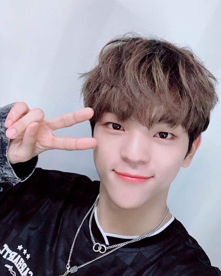 Kim Woojin Stray Kids Amino