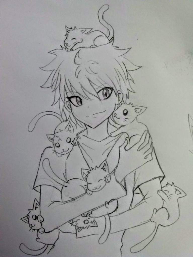 Back with sketches- Killua & Cats + Killua as Cat lmao | Hunter x ...