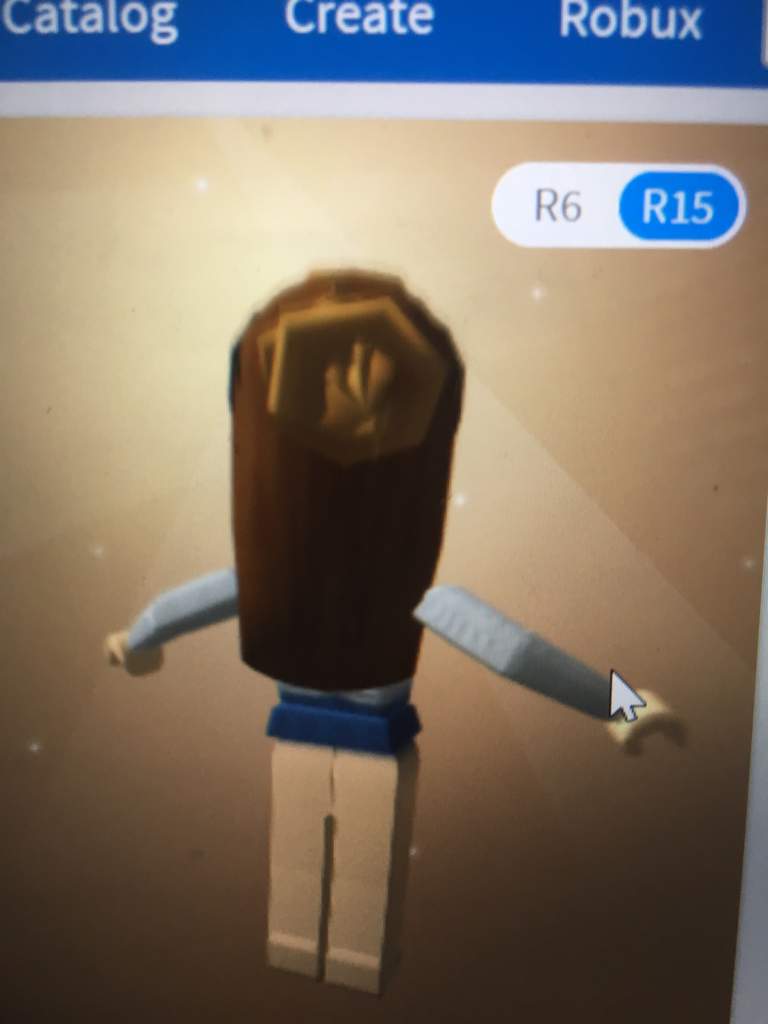 Cinnamon Hair Roblox Id