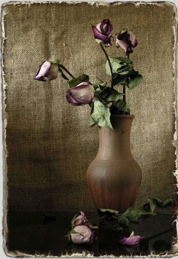 Почему вянут розы в вазе. Натюрморт ваза с цветами. Увядший цветок. Засохшие цветы в вазе. Ваза с завядшими цветами.