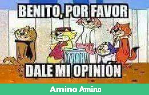 Meme Benito Dale Mi Opinión | Memes Amino • Español Amino