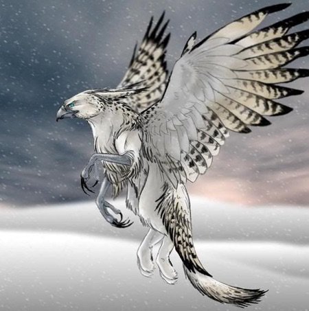 Griffin: Power Animal of the Ancient World | World of Magick⛥ Amino