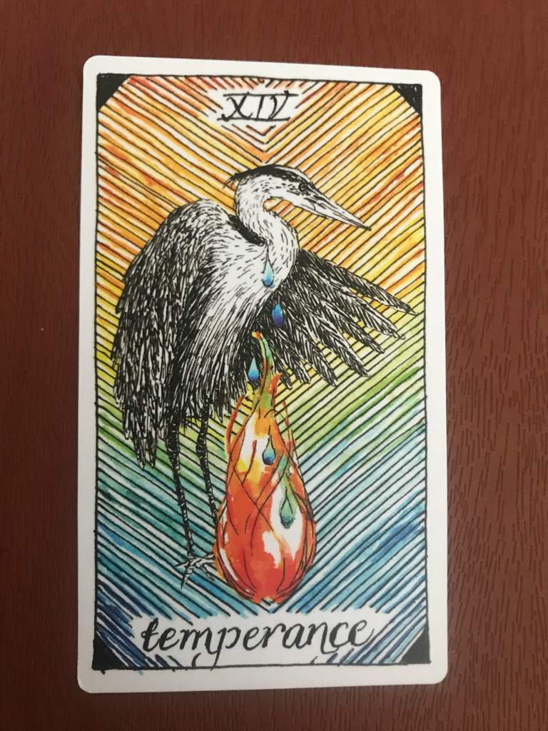 Wild Unknown Tarot - Temperance - A blue heron + the mingling of water and fire against a rainbow background