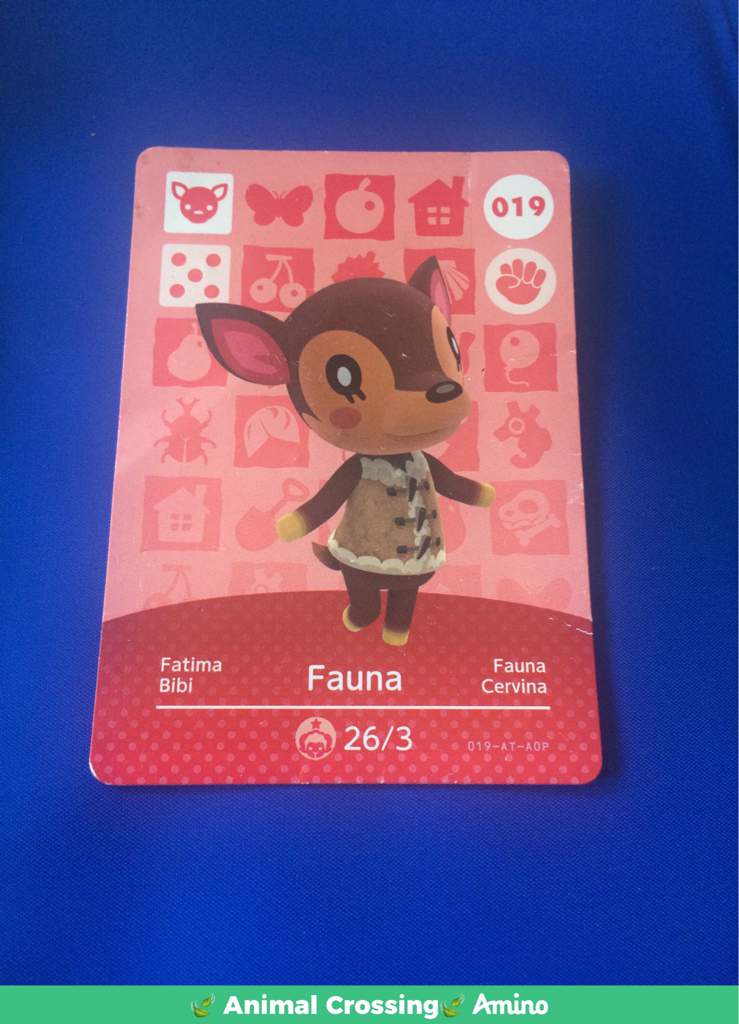 All my amibo cards | Animal Crossing Amino