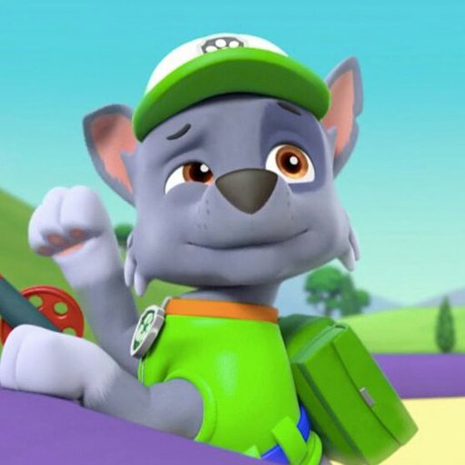 Rocky | Wiki | PAWPatrol Amino