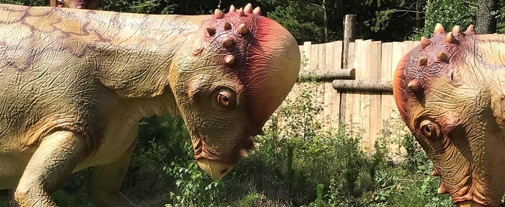 Pachycephalosaurus | Wiki | ⚪Jurassic Park Amino⚪ Amino