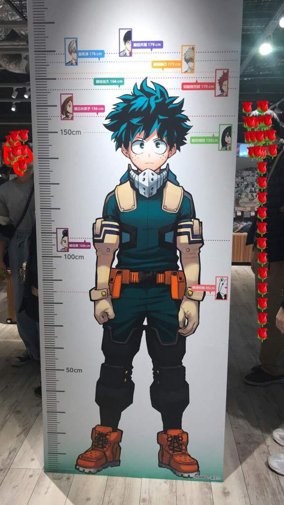 How Tall Are You? | My Hero Academia Amino