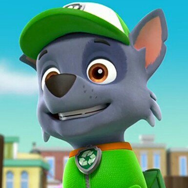 Rocky | Wiki | PAWPatrol Amino