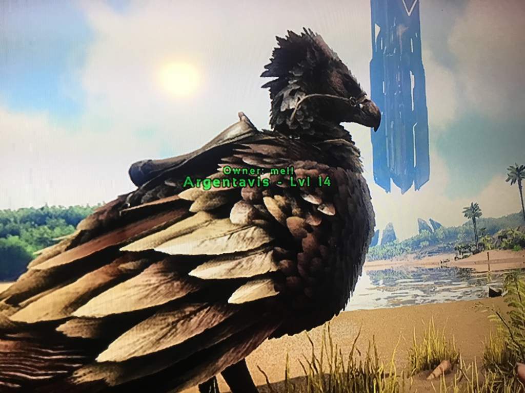 Ark Spawn Argentavis