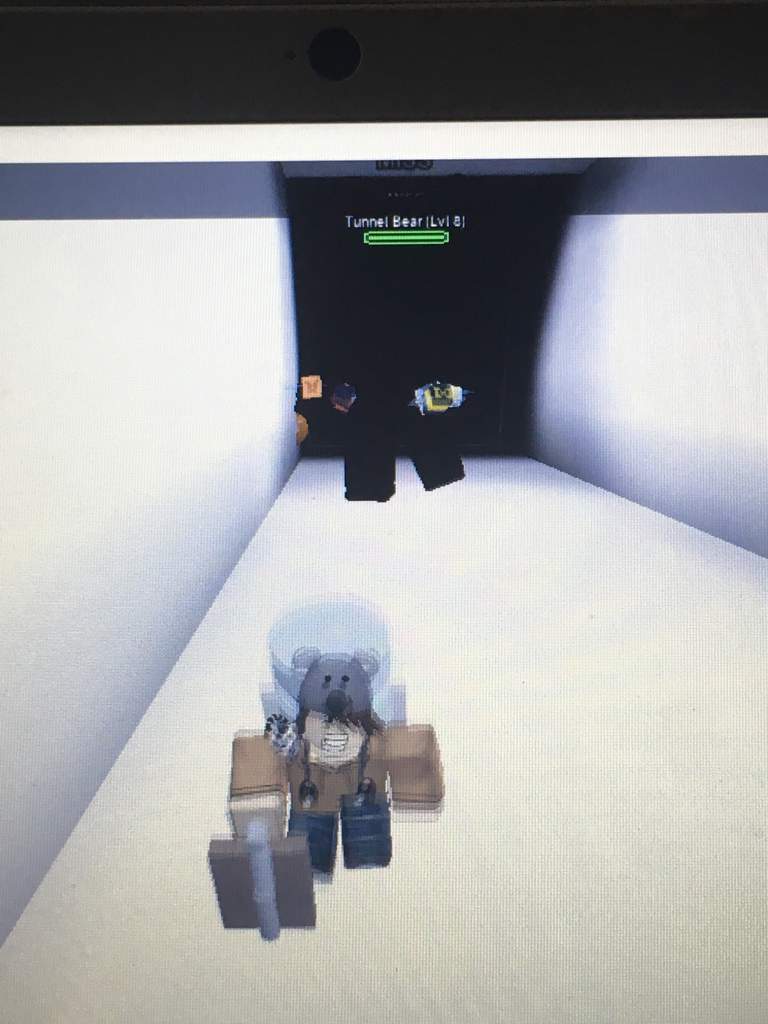 What The Hell Bee Swarm Simulator Roblox Amino