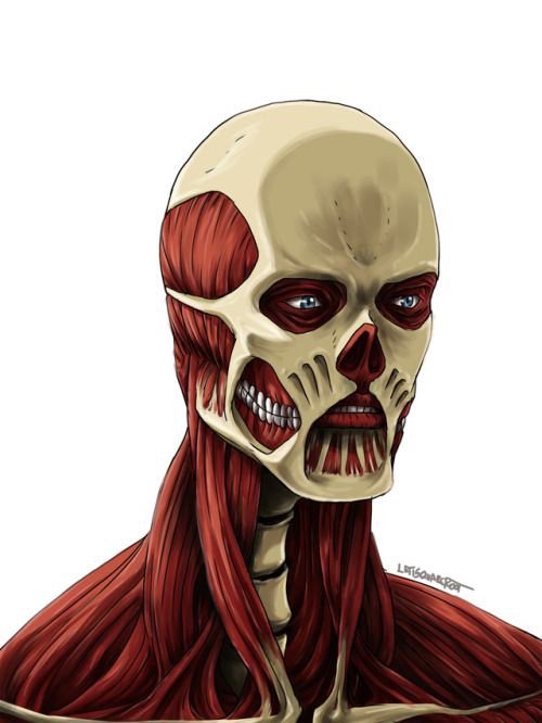 AOT armin colossal titan | Wiki | Anime Amino