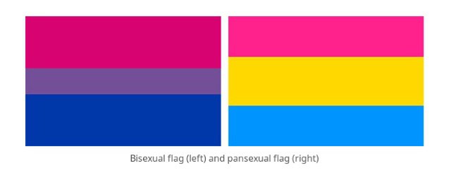 Bisexuality VS Pansexaulity | LGBTQ TEENS+ Amino