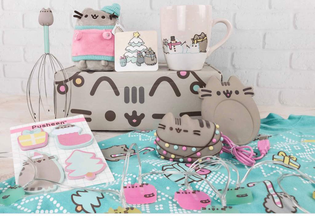 Pusheen Box!!!!!!💕 | Pusheen The Cat Amino Amino