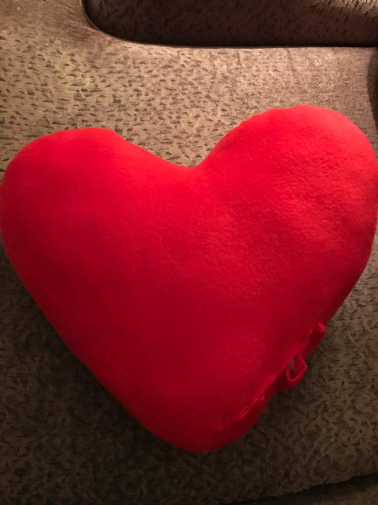 tata heart pillow