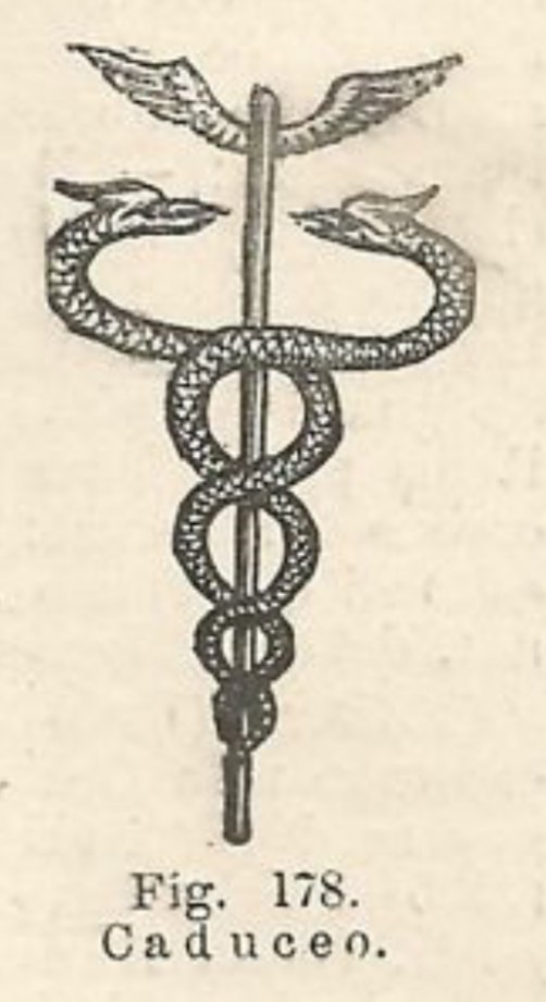 The Caduceus | Wiki | alchemy is the key Amino