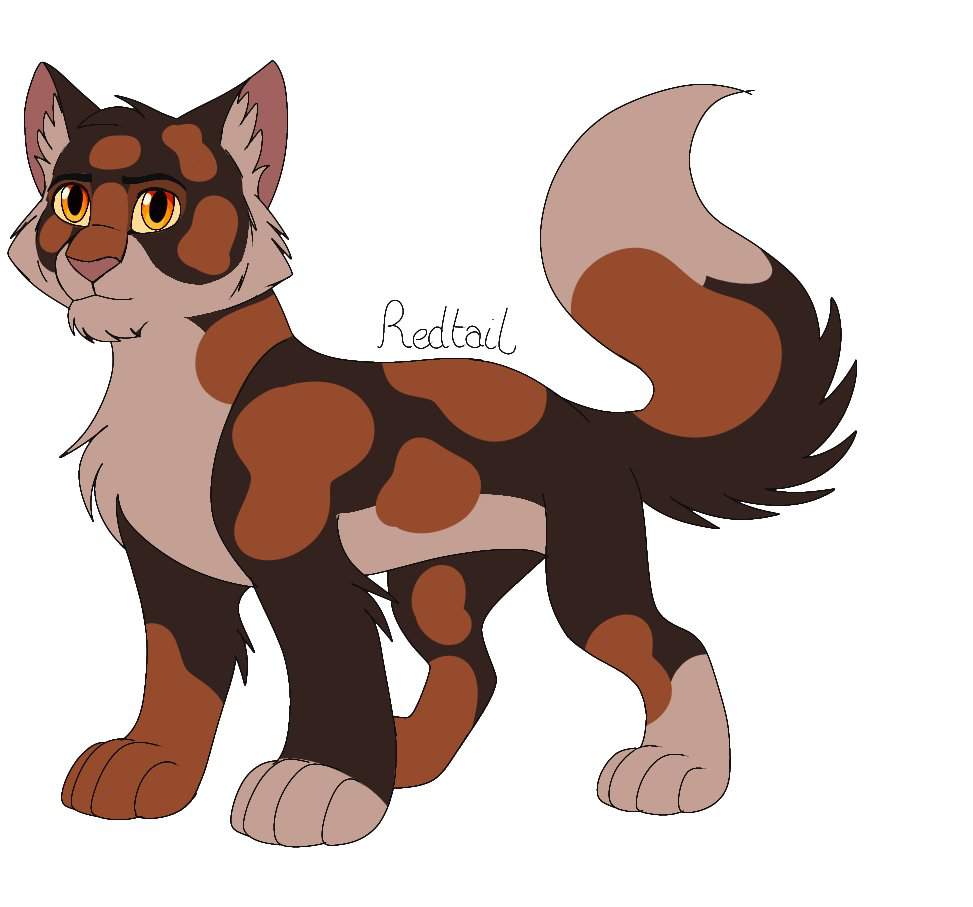 Warrior Cats [First Arc] Designs | Wiki | Warriors Amino