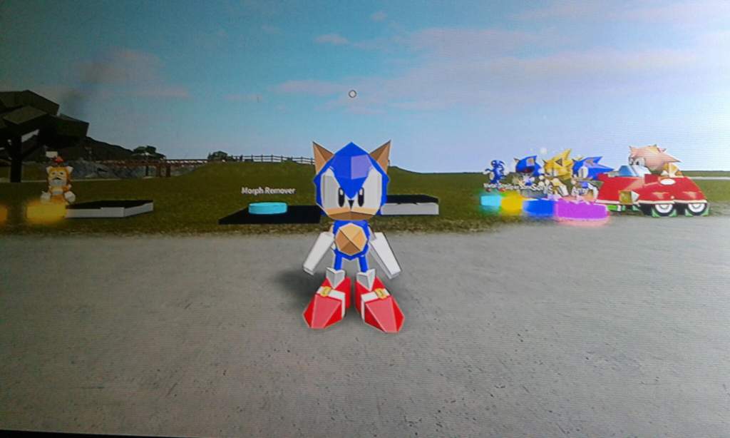 So I Was Playing Roblox And I Searched Sonic R Sonic The Hedgehog Amino - sonic plays roblox sonic plays roblox the hedgehog subscribe