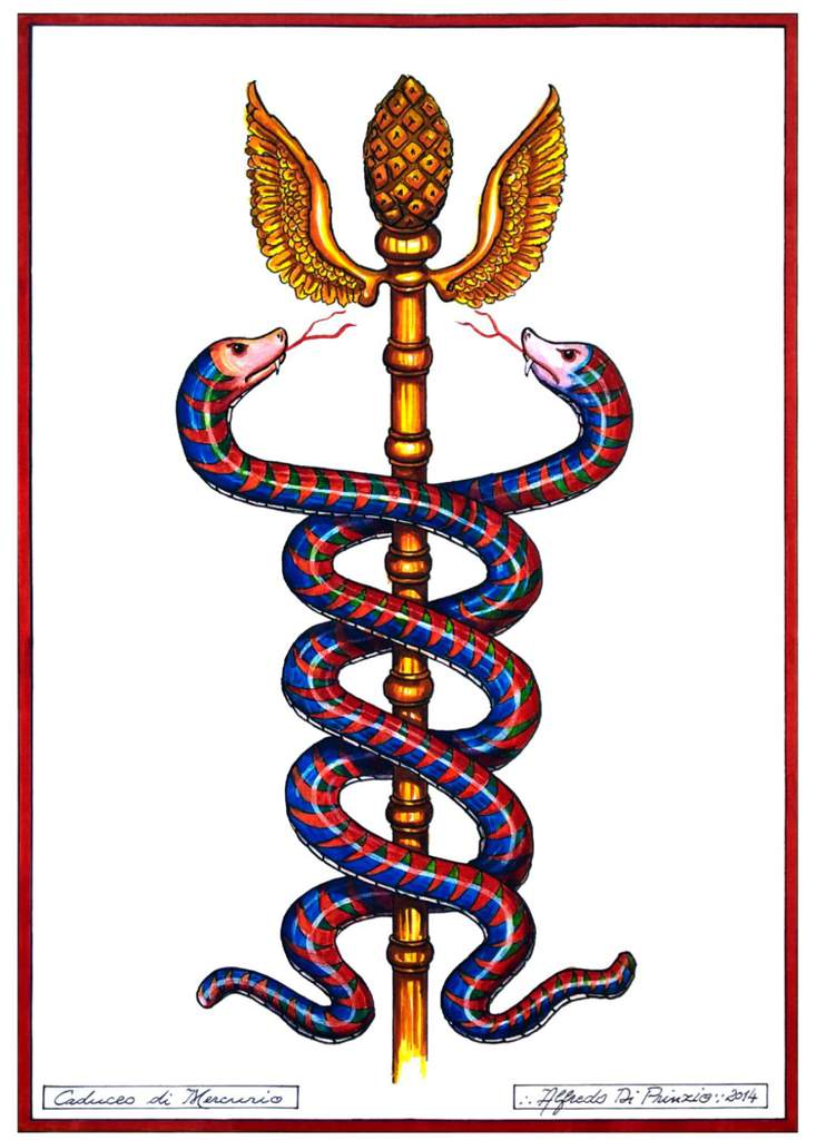 The Caduceus | Wiki | alchemy is the key Amino