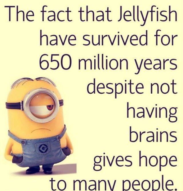 Minion Memes That Describe Me!! 