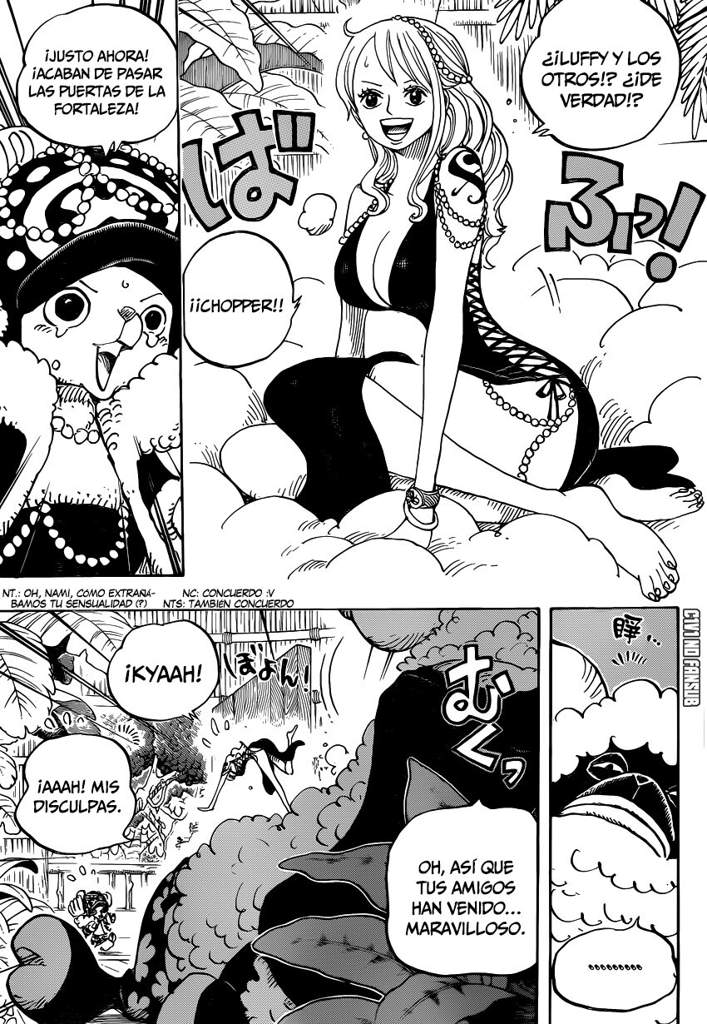 Capitulo 806 Wiki One Piece Amino